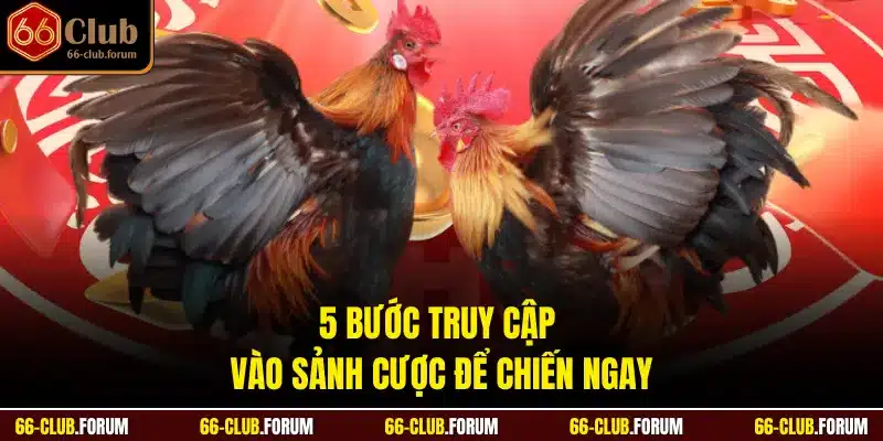 5 bước truy cập vào sảnh cược để chiến ngay