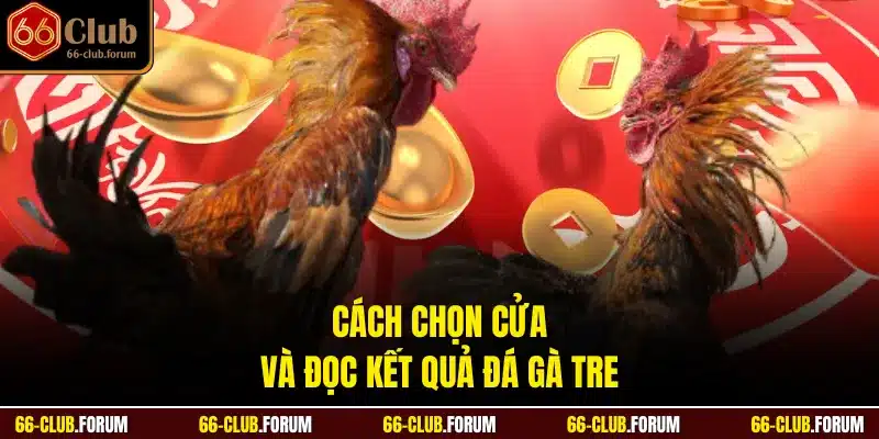 Cách chọn cửa và đọc kết quả đá gà tre