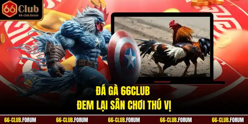 Đá gà 66Club đem lại sân chơi thú vị