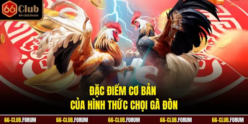 Đặc điểm cơ bản của hình thức chọi gà đòn