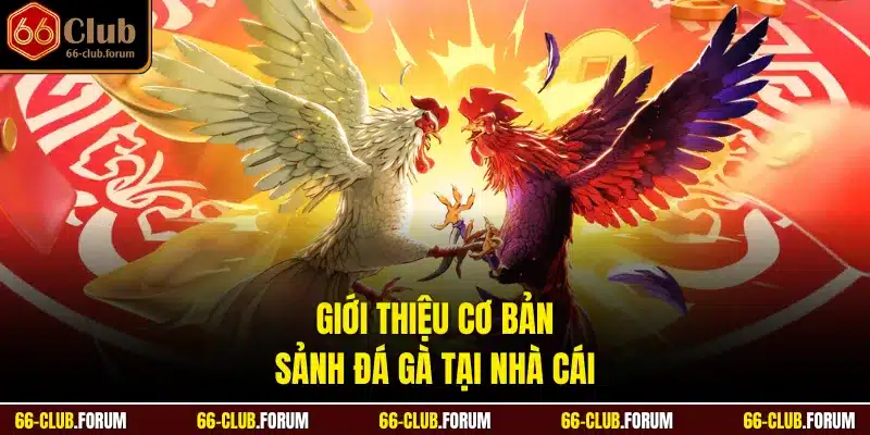 Giới thiệu cơ bản sảnh đá gà tại nhà cái