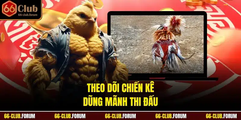 Theo dõi chiến kê dũng mãnh thi đấu