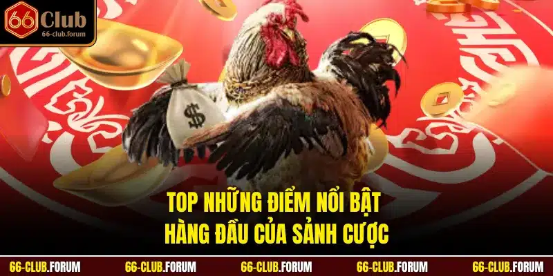 Top những điểm nổi bật hàng đầu của sảnh cược
