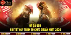 Đá Gà Đòn - Chi Tiết Quy Trình Tổ Chức Chuẩn Nhất 2026
