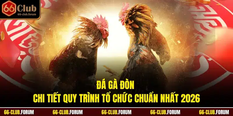 Đá Gà Đòn - Chi Tiết Quy Trình Tổ Chức Chuẩn Nhất 2026