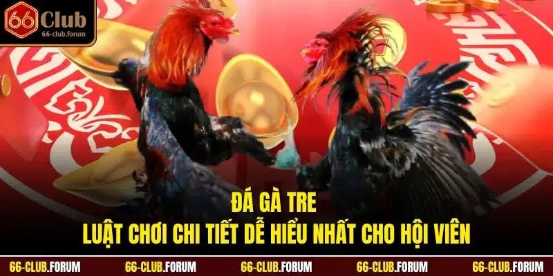 Đá Gà Tre - Luật Chơi Chi Tiết Dễ Hiểu Nhất Cho Hội Viên
