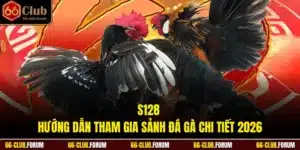 S128 - Hướng Dẫn Tham Gia Sảnh Đá Gà Chi Tiết 2026