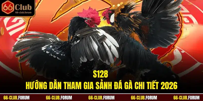 S128 - Hướng Dẫn Tham Gia Sảnh Đá Gà Chi Tiết 2026